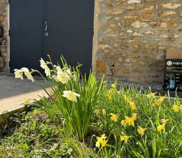 Vitry-sur-Seine Apartment | Cozy apartment with garden