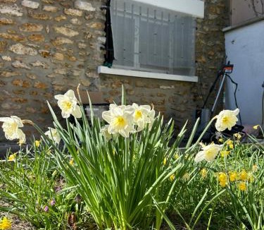 Vitry-sur-Seine Apartment | Cozy apartment with garden