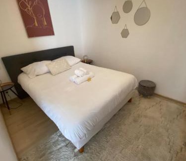 Miplaine Apartment | Cozy atmosphere 4pers near Eurexpo GroupamaStadium