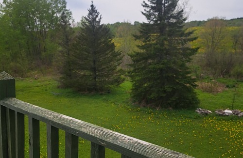 Lewis County Apartment | Cozy ATV/snowmobile getaway!