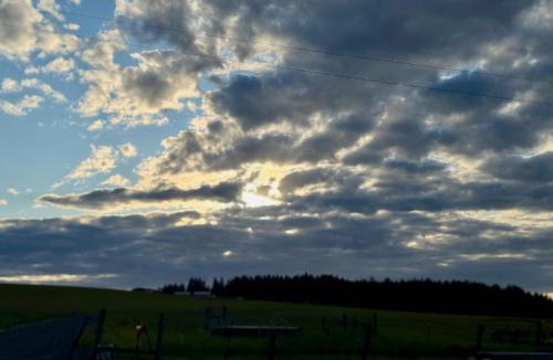 Harvard House | Cozy Avon Country Escape