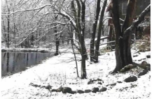 Marietta House | Cozy barn space i.e “Hawthorne” #1