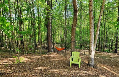 Fayetteville Apartment | Cozy basement apartment