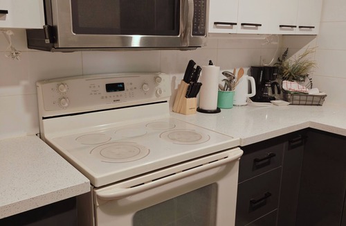 Meadowvale Village Apartment | Cozy Basement in North Mississauga