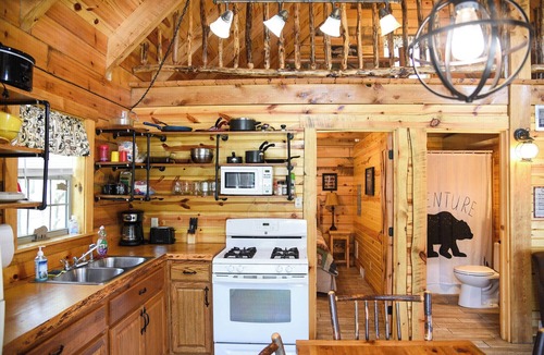 Leeper Cabin | Cozy Bear Log Cabin near Cook Forest State Park