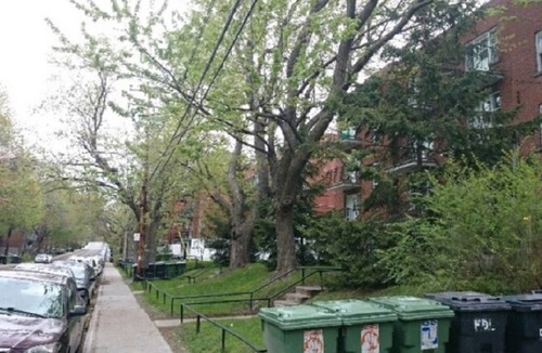Cote-Des-Neiges—Notre-Dame-De-Grace Apartment | Cozy bedroom/Looking for a roommate