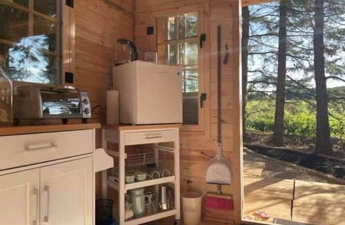 Belwood Cabin | Cozy Belwood Bunkie Retreat - 10 Min to Elora Gorge