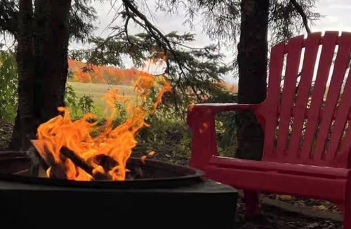 Belwood Cabin | Cozy Belwood Bunkie Retreat - 10 Min to Elora Gorge