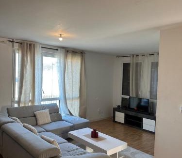 Thouare-sur-Loire Apartment | Cozy bright apartment