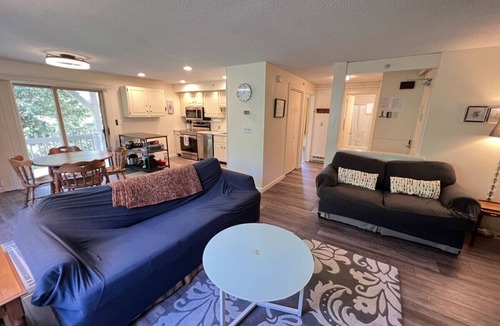 Bromley Mountain Apartment | Cozy Bromley Retreat