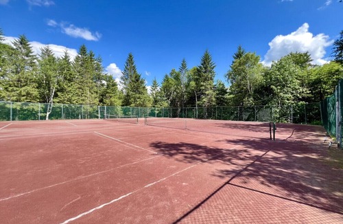 Bromley Mountain Apartment | Cozy Bromley Retreat