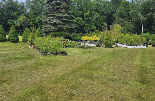 Bartlett RV Rental | Cozy brookside campsite 1