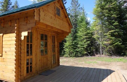 Hastings Highlands Cabin | Cozy Cabin #2