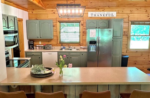 Stanton Cabin | Cozy Cabin 20min to RRG. Fire pit. HOT TUB. Welcome pets!