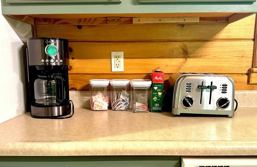 Stanton Cabin | Cozy Cabin 20min to RRG. Fire pit. HOT TUB. Welcome pets!
