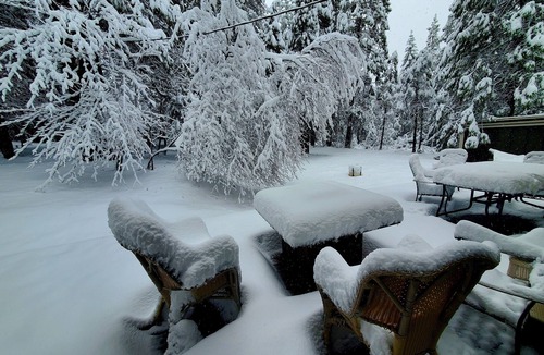 Glencoe Cabin | Cozy Cabin 40 mins to Kirkwood, 15 to Wineries, 5 to shopping, 1 mile off hwy88.