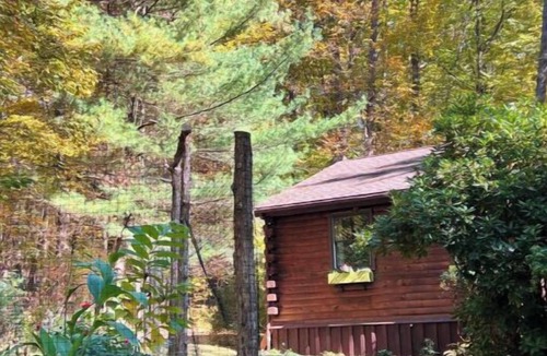 New Paltz Cabin | Cozy cabin adjacent to Mohonk Preserve, wifi, AC, and detached studio building