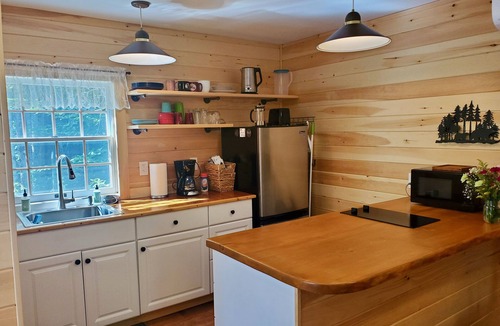 Belfast Cabin | Cozy Cabin By The Pond, Sleeps 2