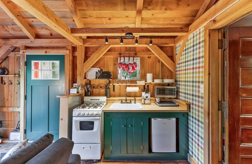 Bethel Cabin | Cozy Cabin! Firepit! Dogs Welcome! Hot Tub!