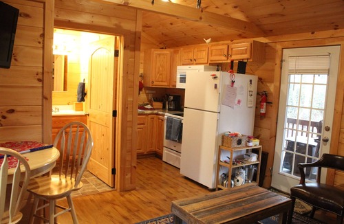 Schuyler Cabin | Cozy cabin for 2 w/great mt views & walking trails!