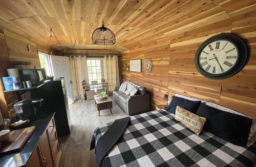 Proctor Cabin | Cozy Cabin for 4/Quiet Wilderness Stay/Illinois River