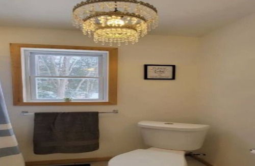 Bardsville Cabin | Cozy Cabin Getaway Muskoka