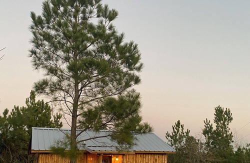 Bastrop Cabin | Cozy cabin in the pines of Bastrop with AC, WiFi