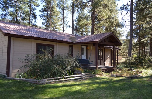 Durango House | Cozy Cabin in the Pines! Beautiful property with lots of space!
