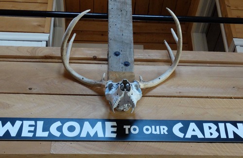 Lindley House | Cozy Cabin in the woods with pool table!