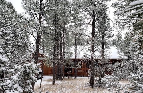 Mountain Pine Estates House | Cozy Cabin in the Pines