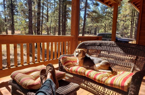 Mountain Pine Estates House | Cozy Cabin in the Pines