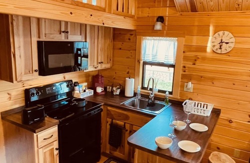 Hector Cabin | Cozy Cabin Lake + Vineyard View Wineries 2