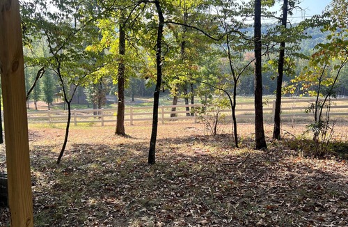 Center Ridge Cabin | Cozy cabin located on private drive on 40 acre Ranch!