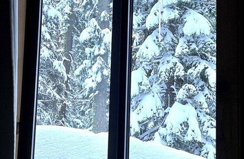 Echo Lake Cabin | Cozy cabin near Lake Tahoe SierraSki resort . 2bed 2bath.