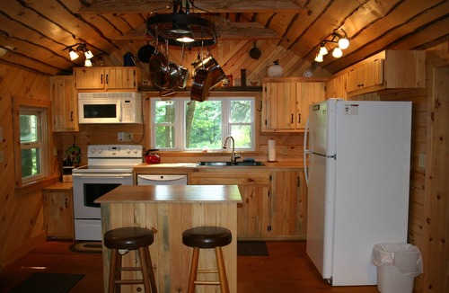 Benton House | Cozy Cabin - Step into spring with comfort, fresh air, and room to unwind.
