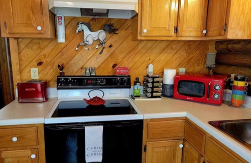 Oneida Cabin | Cozy Cabin w King Bed, 8-Stall Barn/Borders Big South Fork Natl Park