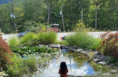 East Dorset Cabin | Cozy Cabin with Sweeping Mountain Views