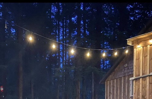 Detroit Cabin | Cozy Cabin with views and quick access to Lake