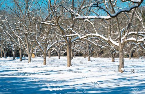 Americus Other | Cozy Camper Rental-Fully Equipped