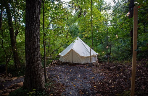 Elliottsburg RV Rental | Cozy campsite with creek access!