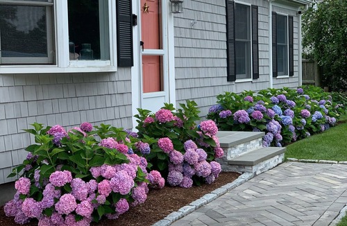 Dennis Port House | Cozy Cape Steps from 2 Beaches + Private Beach Deeded Access