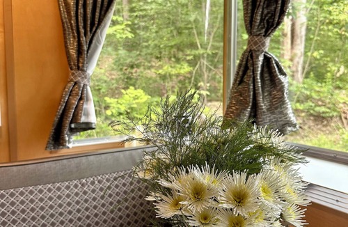 Willseyville House | Cozy caravan in Willseyville with authentic sauna in bucolic setting