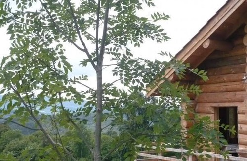 Saint-Martin-la-Sauvete Cottage | Cozy chalet, wild nature, PC internet, great for hiking