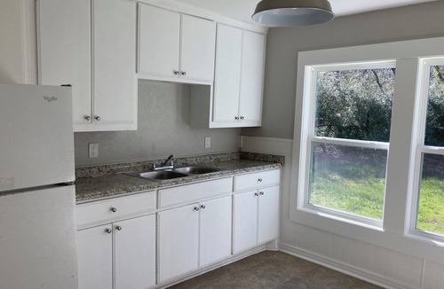 Denton House | Cozy, charming, stylish and natural wooded backyard close to UNT.