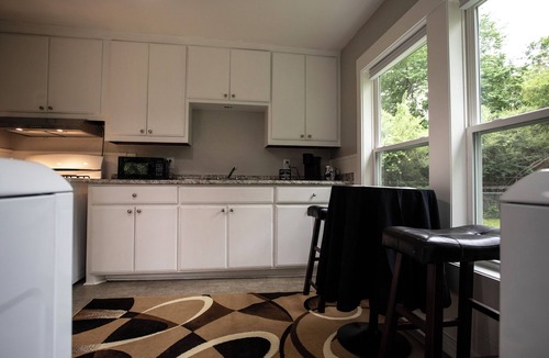 Denton House | Cozy, charming, stylish and natural wooded backyard close to UNT.