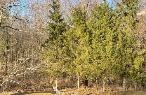 Chatham House | Cozy Chatham Retreat