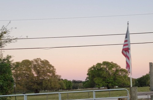 Buckingham House | Cozy city-country home 45 minutes from Sanibel Island! 10 Minutes from Downtown.