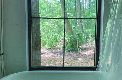 Hamilton Cabin | Cozy Clappison Cabin - 8 acres of private forest!🌳