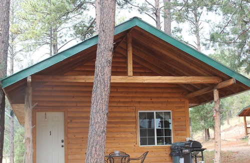 Sacramento Cabin | Cozy Clean Cabin next to Lincoln National Forest.