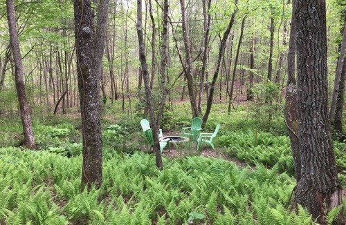 McCaysville Cabin | COZY, CLEAN, & CHEAP! Close to everything, yet private & quiet.